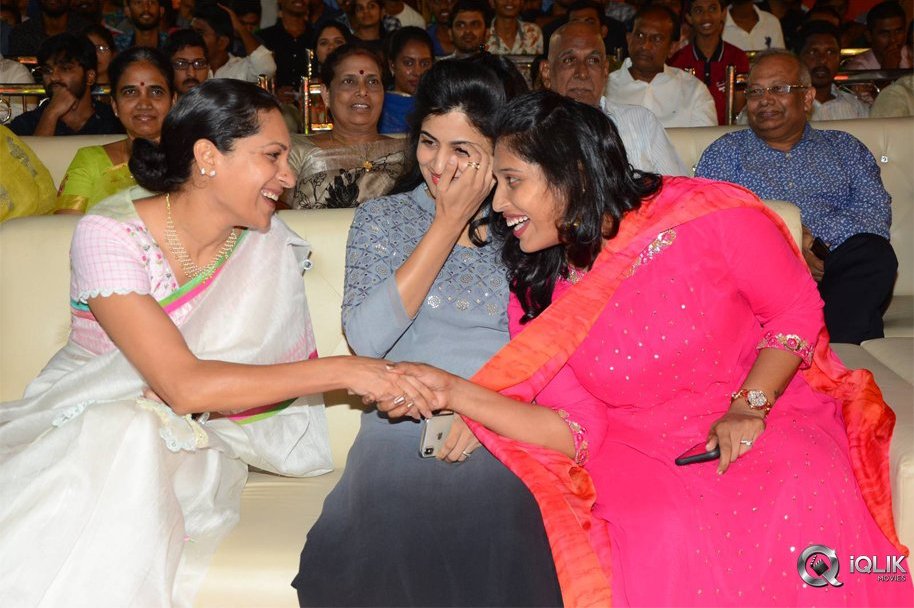 Krishnarjuna-Yuddham-Pre-Release-Function